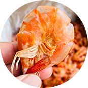 榮成市豐隆農(nóng)副產(chǎn)品精心細(xì)選 天然材料